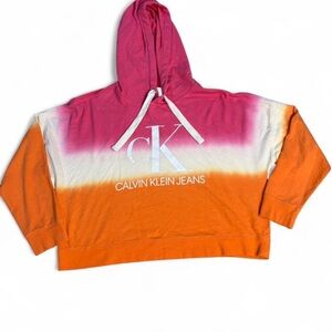 Calvin Klein multicolored hoodie sz 2X